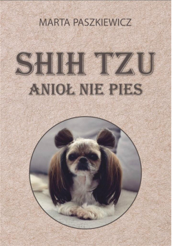 Shih tzu - anioł nie pies