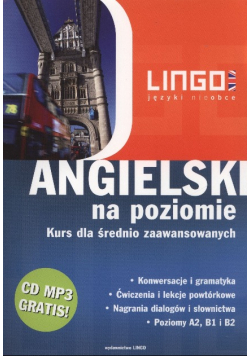 Angielski na poziomie