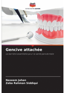 Gencive attachée