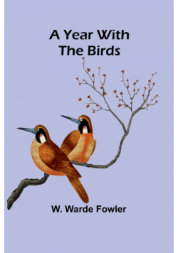 A Year with the Birds