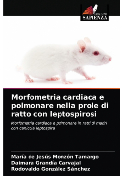 Morfometria cardiaca e polmonare nella prole di ratto con leptospirosi