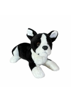 Pies boston terrier 28cm