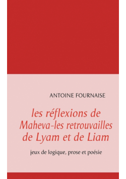 les réflexions de Maheva-les retrouvailles de Lyam et de Liam
