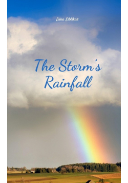 The Storm's Rainfall