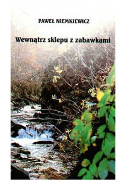 Wewnątrz sklepu z zabawkami