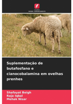 Suplementação de butafosfano e cianocobalamina em ovelhas prenhes
