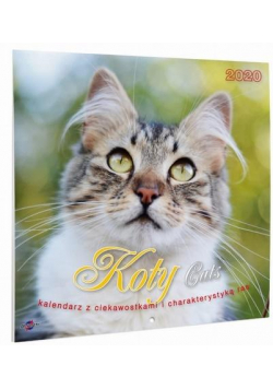 Kalendarz 2020 KAD-9 Koty AVANTI