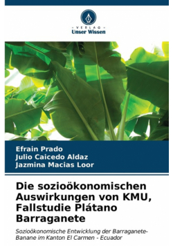 Die sozioökonomischen Auswirkungen von KMU, Fallstudie Plátano Barraganete