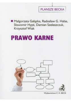 Prawo karne