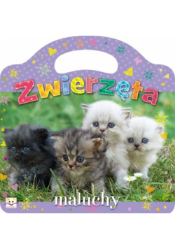 Zwierzęta maluchy
