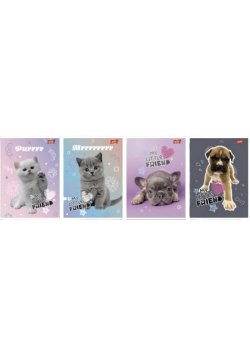 Zeszyt A5/32K linia 2kol My little friend (15szt)