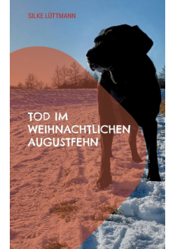 Tod im weihnachtlichen Augustfehn