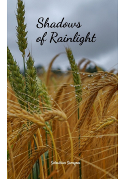 Shadows of Rainlight