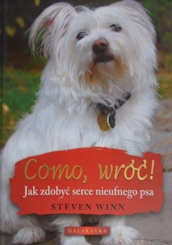 Como wróć  Jak zdobyć serce nieufnego psa
