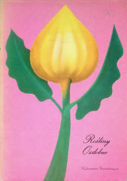 Rośliny ozdobne