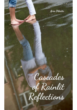 Cascades of Rainlit Reflections