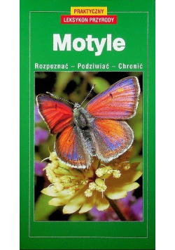Motyle rozpoznać podziwiać chronić