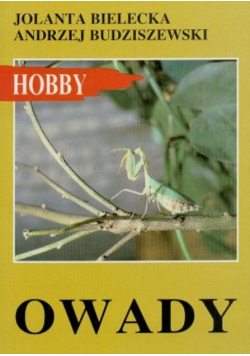 Owady w terrarium