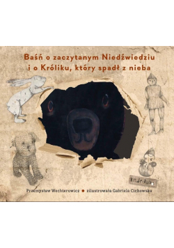 Baśń o zaczytanym Niedźwiedziu i o Króliku, który spadł z nieba