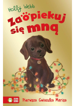 Pierwsza Gwiazdka Morisa