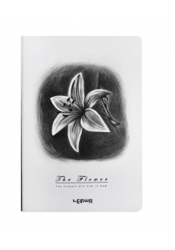 Notes B6/96K Lilia