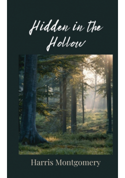 Hidden in the Hollow
