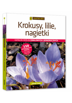 Krokusy, lilie, nagietki.