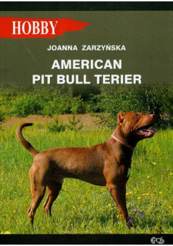 American pit bull terier