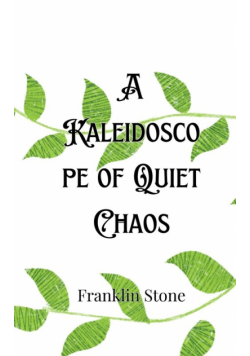 A Kaleidoscope of Quiet Chaos