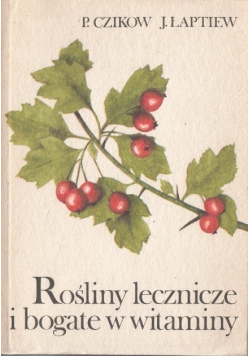 Rośliny lecznicze bogate w witaminy