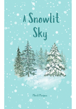 A Snowlit Sky