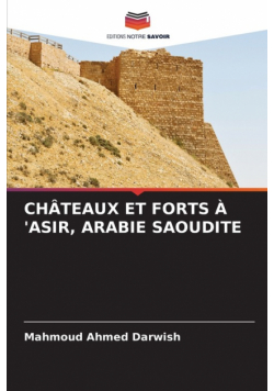 Châteaux Et Forts À 'asir, Arabie Saoudite