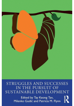 Struggles and Successes in the Pursuit of Sustainable Development