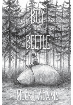 Boy and the Beetle