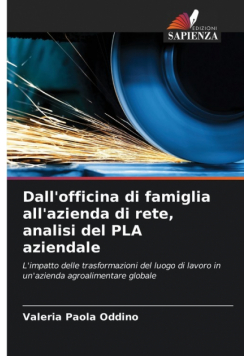 Dall'officina di famiglia all'azienda di rete, analisi del PLA aziendale