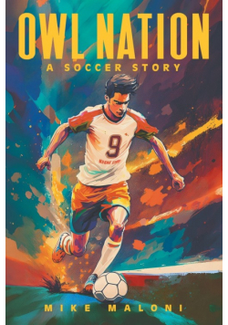 Owl Nation