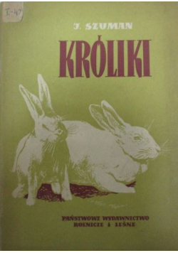 Króliki