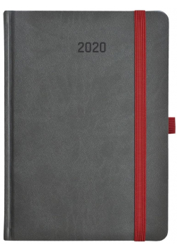 Kalendarz 2020 Książkowy A5 dzienny Ziggo Z502