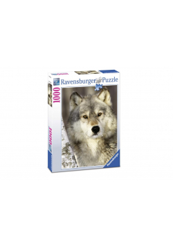 Puzzle 1000 Wilk