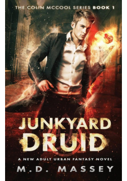 Junkyard Druid