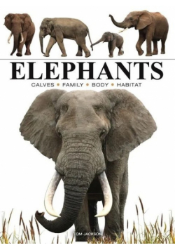 Elephants