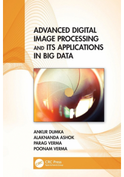 Advanced Digital Image Processing and Its Applications in Big Data