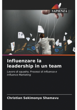 Influenzare la leadership in un team