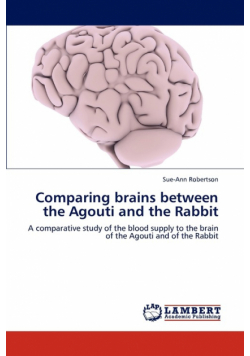 Comparing Brains Between the Agouti and the Rabbit