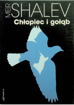 Chłopiec i gołąb