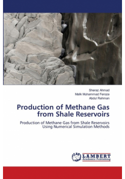 Production of Methane Gas from Shale Reservoirs