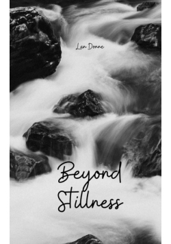 Beyond Stillness