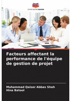Facteurs affectant la performance de l'équipe de gestion de projet