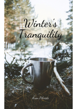 Winter's Tranquility