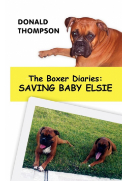 The Boxer Diaries